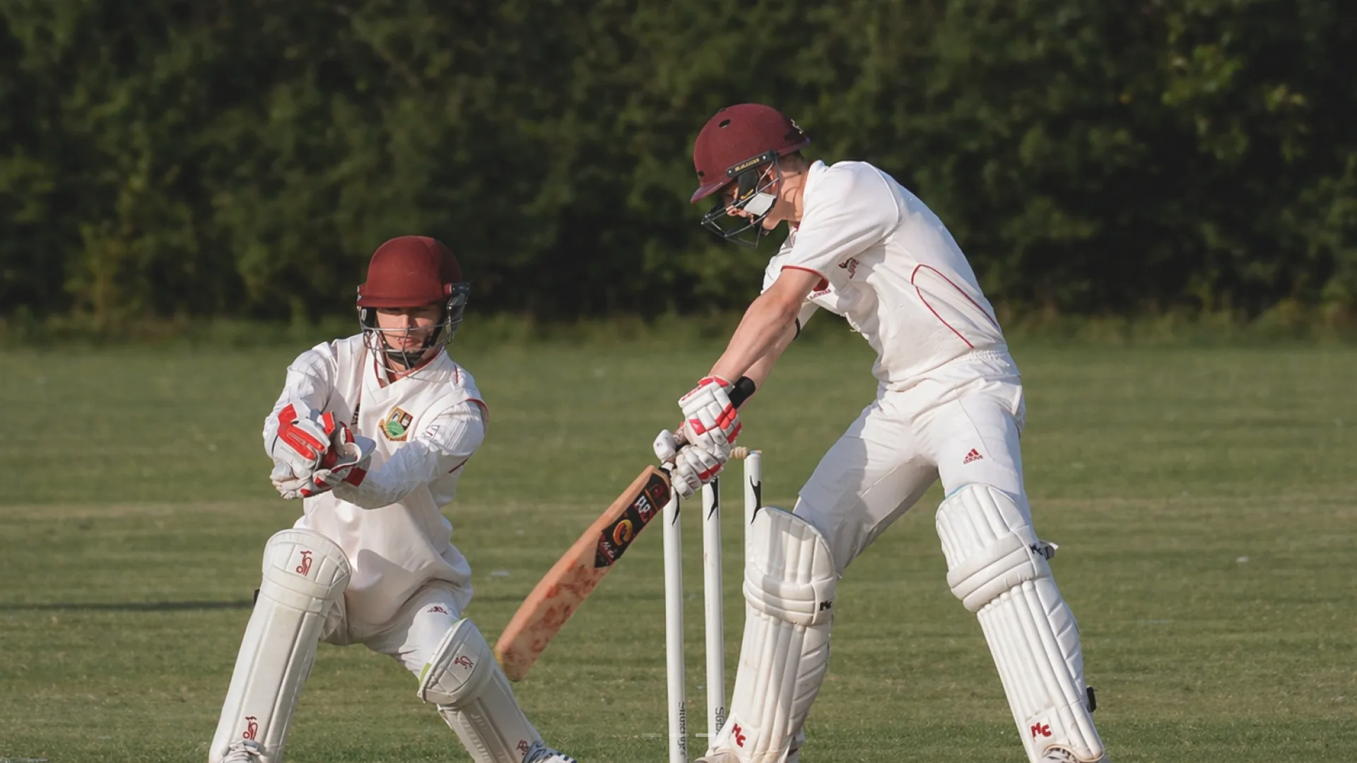 CRICKET