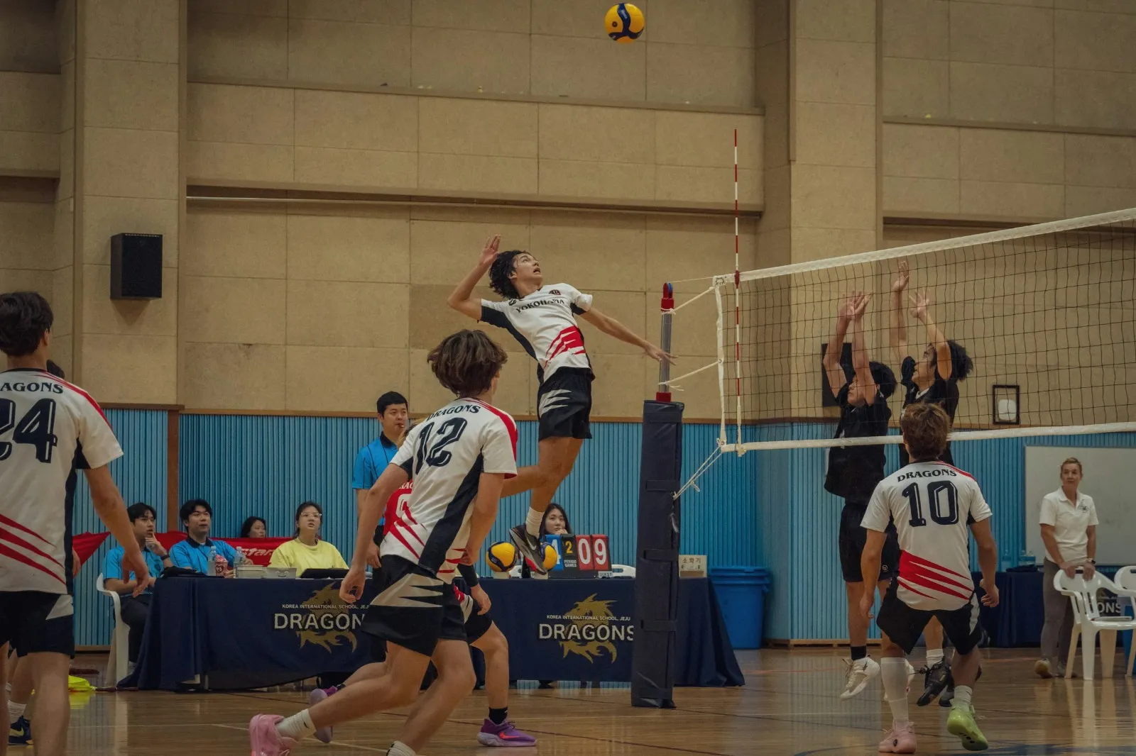 Knee Pads - Volleyball
