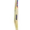SPEED Blade Size Harrow Cricket Bat