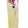 SPEED Blade Size Harrow Cricket Bat