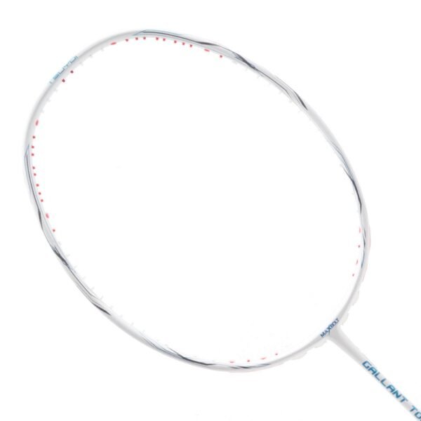 Maxbolt Gallant Tour