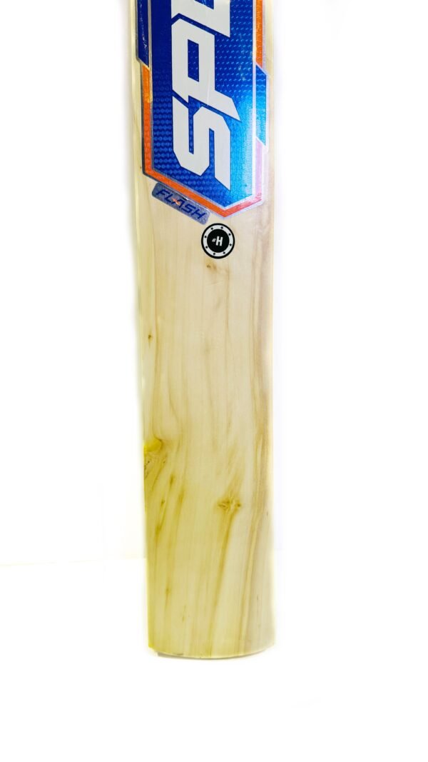 SPEED Flash Size Harrow Cricket Bat