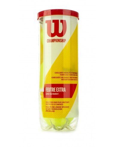 Championship Extra Feutre 3 Ball Can (WILSON)